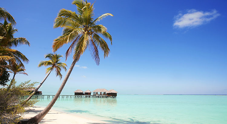 Holiday Season in December: the picture of Maldives.